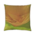 thumbnail image 1 of Ahgly Company Outdoor Square Contemporary Throw Pillow, 18 inch by 18 inch, 1 of 5