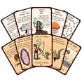 thumbnail image 3 of Munchkin Pathfinder Card Game, 3 of 4