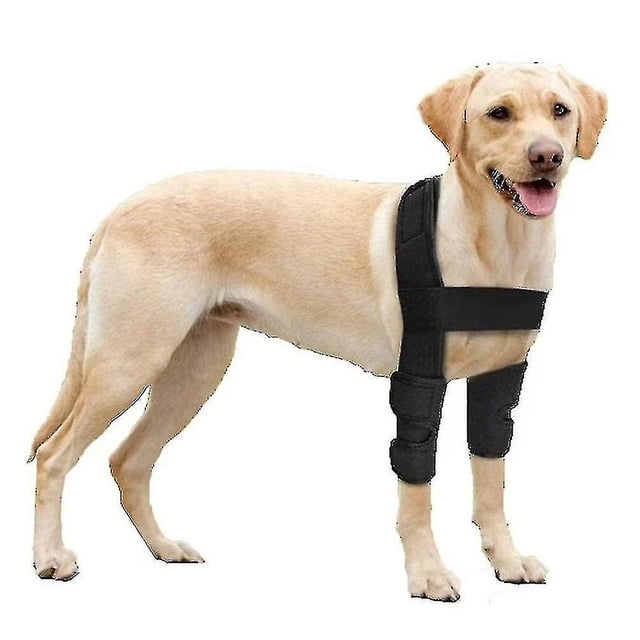 Protector de codo para pierna delantera de perro, Protector de codo, envoltura canina, protege heridas, curación y esguinces, soporte