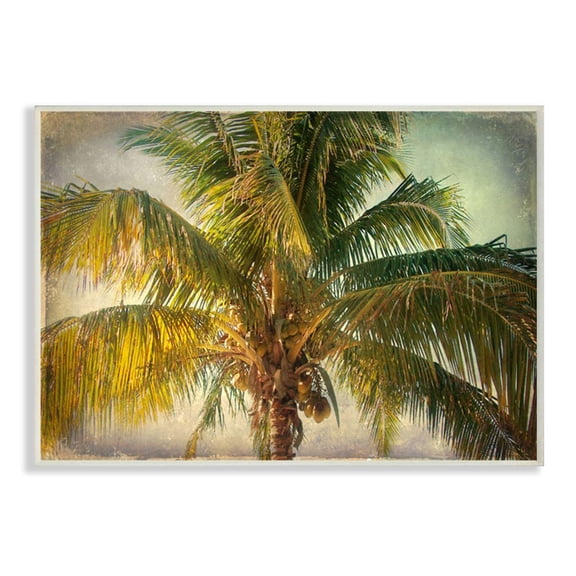 Stupell Industries Distressed Tropical Summer Palm Tree Frond Photograph Designed by Ashley Calhoun