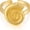 shell starfish, variant on Gold Seashell Ring for Women Gold Plated Trendy Starfish Open Ring Summer Beach Jewelry