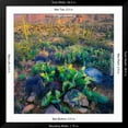 thumbnail image 5 of Art.com Prickly Pear and Saguaro Cacti, Santa Catalina Mountains, Oro Valley, Arizona, USA Photographic Print, Black Frame Wall Art, 38" x 38", 5 of 5