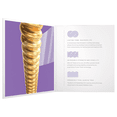 thumbnail image 3 of Cuerdas Daddario Xsabr1152 Bronce Para Guitarra Acústica 11 52 D'Addario Xsabr1152, 3 of 4