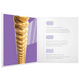 thumbnail image 3 of Cuerdas Daddario Xsabr1152 Bronce Para Guitarra Acústica 11 52 D'Addario Xsabr1152, 3 of 4