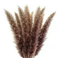 thumbnail image 3 of AMLESO Bulrush Reed Grass Boho Decor Rustic Dried Plant for Party Wedding Farmhouse, 3 of 7