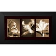 thumbnail image 2 of Kelly, Caroline 24x14 Black Modern Framed Museum Art Print Titled - Lily Trio, 2 of 5