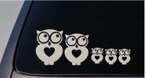 Owl On A Branch Car Decal Vinyl Sticker 6" Bird Laptop Owls Gift Hoot Car V525 