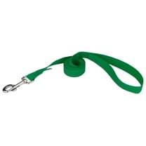 Country Brook Design - 3/4 inch Heavy Polypropylene Dog Leash Kelly Green - 6 Foot