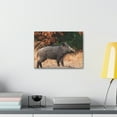 thumbnail image 3 of Majestic Boar Art Majestic Boar Print Animal Wall Art Wildlife Canvas Prints Wall Art Ready to Hang Unframed, 3 of 18