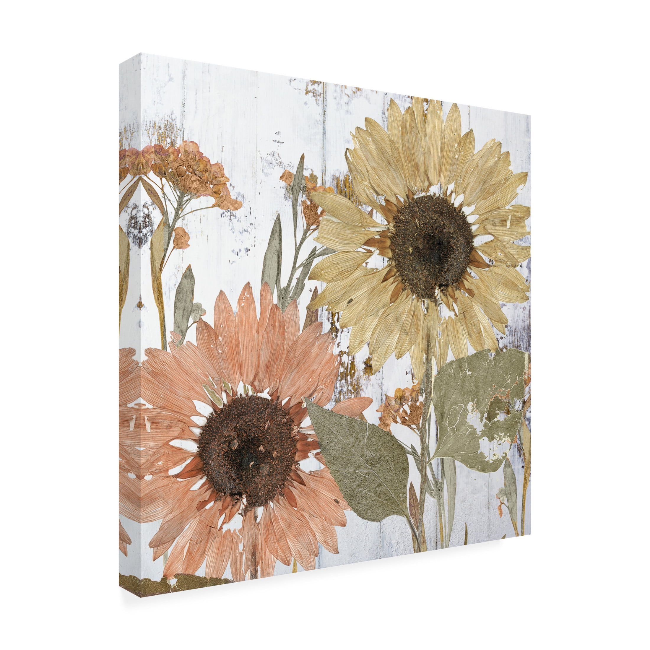Canvas Wall Art - Sasha 'Earth to Petals I' Wall Art for Living Room, Bedroom, or Office Décor by Trademark Fine Art - 14 x 14 Inches