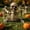 A, variant on Halloween Ground Breaker Plastic Half Body Skeleton Decor Outdoor Yard Lawn, 8.66 × 9.45 in