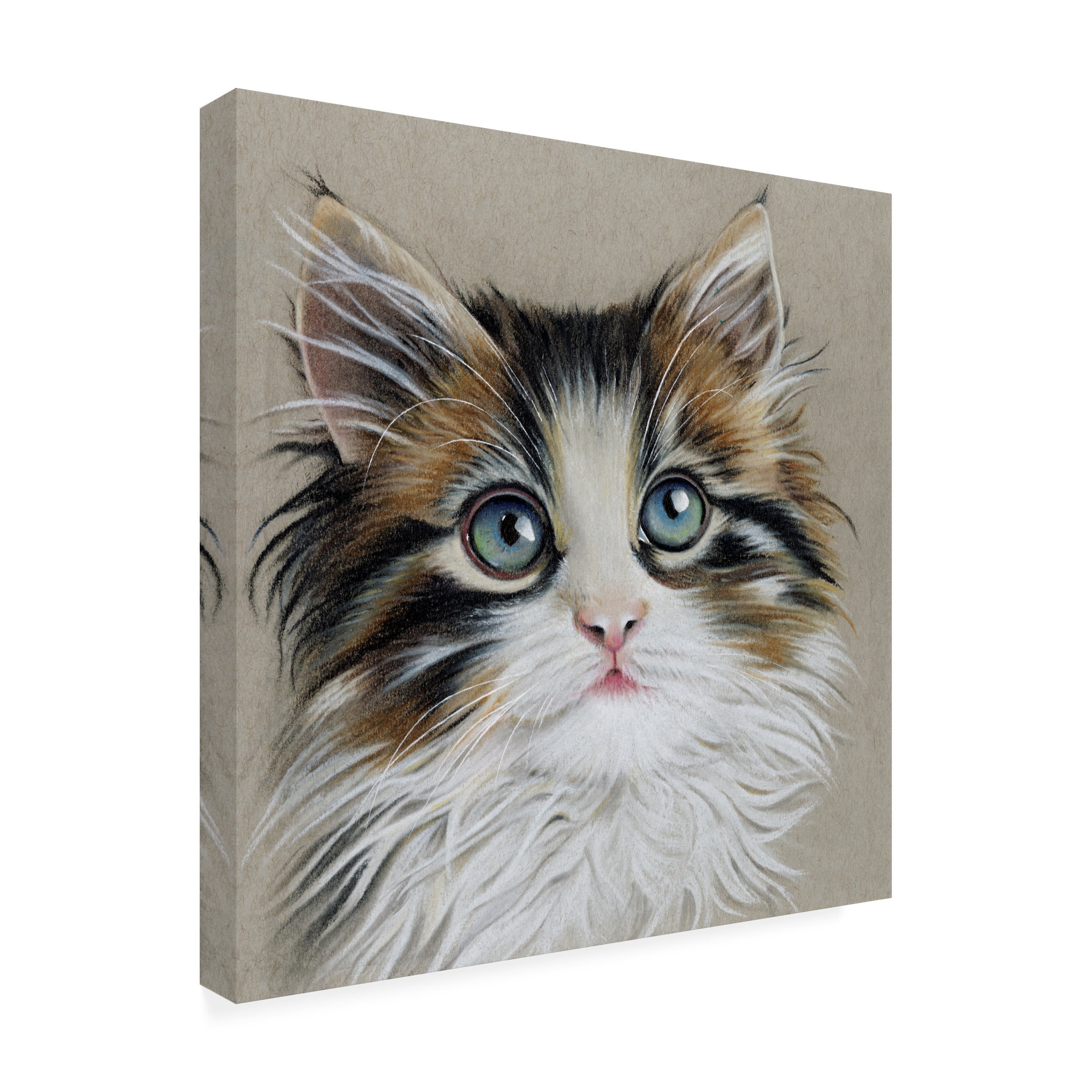 Lily Liama 'Kitten Portrait II' Canvas Art