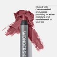 thumbnail image 4 of Lápiz delineador de labios Wonderskin 360 Contour Long Lasting Nude, 4 of 7