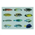 thumbnail image 2 of Fish Cutting Board, Egyptian Fauna Bannerfish Goldfish Parrotfish Wildlife Nature Red Sea Theme Image, Decorative Tempered Glass Cutting and Serving Board, Large Size, Multicolor, by Ambesonne, 2 of 5