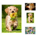 thumbnail image 4 of 5D León perro mariposa resina diamante pintura Animal taladro bordado costura DIY decoración interior punto de cruz kenally JJ13348-01, 4 of 6