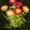 Pink, variant on Solar Flower Lights Outdoor Garden Decorative Ground Stake Lights LED Simulated Silk Flower Landscape Lighting for Lawn Pathway Patio Yard Decor - 26.4 Inch Tall Weatherproof Auto On Off