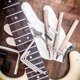 thumbnail image 1 of WRISTBIQUE 1Jgo Barra Whammy Para Guitarra Eléctrica Con Metal Resistente Y Uso Profesional, 1 of 8