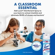 Lysol Disinfectant Spray, Sanitizing and Antibacterial Bathroom Spray, Deodorizer, Crisp Linen, 19 oz (Pack of 2)