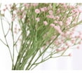 thumbnail image 5 of New Home Decor Dried Flowers Artificial Gypsophila Immortal Flower Fake Flower Baby's Breath DARK PURPLE, 5 of 8