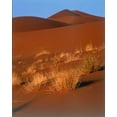 thumbnail image 2 of Blue, Cyril 15x18 Black Ornate Wood Framed with Double Matting Museum Art Print Titled - Grasses, Sand Dunes Sahara, 2 of 4