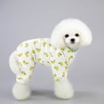thumbnail image 4 of Ropa para mascotas Ropa para perros y gatos de peluche Ropa para perros de cuatro patas Ropa para mascotas de primavera y otoño 19 Ropa para el hogar de cinco colores, 4 of 6