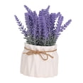 thumbnail image 4 of AMLESO Lavender Potted Plant Arrangement Flower Flower Pot for Hotel Kitchen Office B, 4 of 8