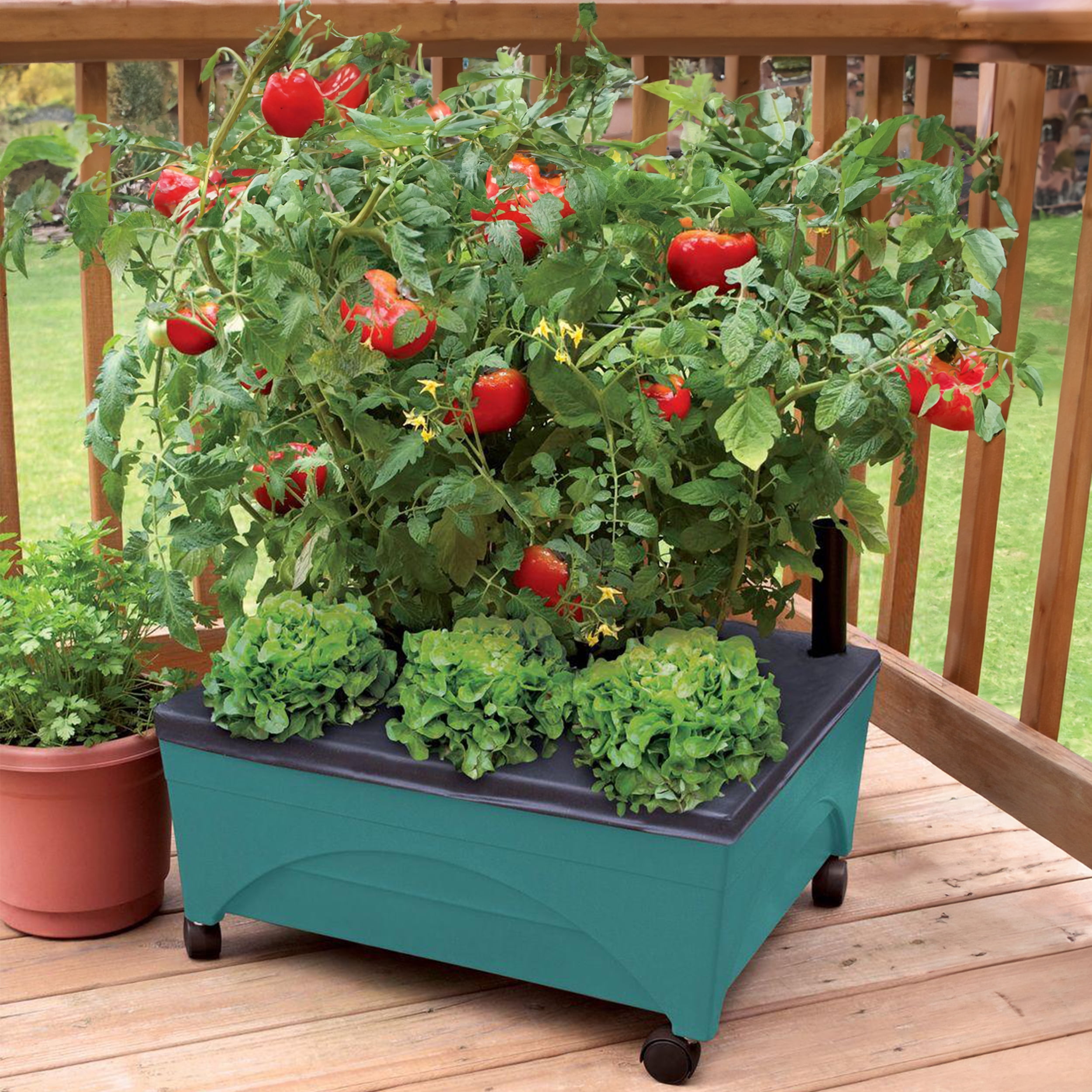 Emsco Group-  Little Pickers Garden Grow Box  Raised Bed with Self-Watering, Improved Aeration, Mobile Casters - Teal
