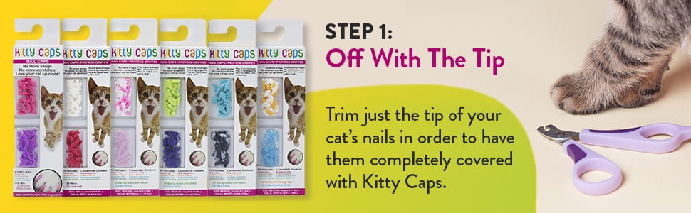 Graduation Kitty Cap for Cats – Notso Kitty