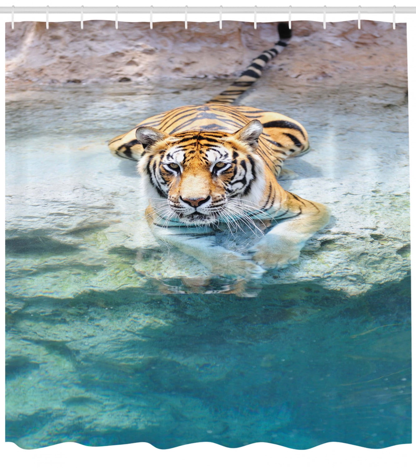 Safari Decor Shower Curtain Set Picture Of A Bengal Tiger Lying Near The Water Wild Life Cave Stone Relax Clear Water Bathroom Accessories 69w X 70l Inches By Ambesonne Walmart Com