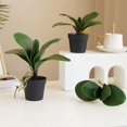 thumbnail image 3 of Feuilles de Simulation PENGXAING, Feuilles de Simulation Non Fanantes, Fausses Orchidées Phalaenopsis, Décoration Maison, 3 of 6