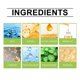 thumbnail image 5 of Crema facial hidratante para pieles secas y sensibles | Cuidado de la piel facial ligero | Antienvejecimiento, Nutritivo, Calmante, Barrera reparadora, Ingredientes naturales | Tarro de 15g | Uso, 5 of 8