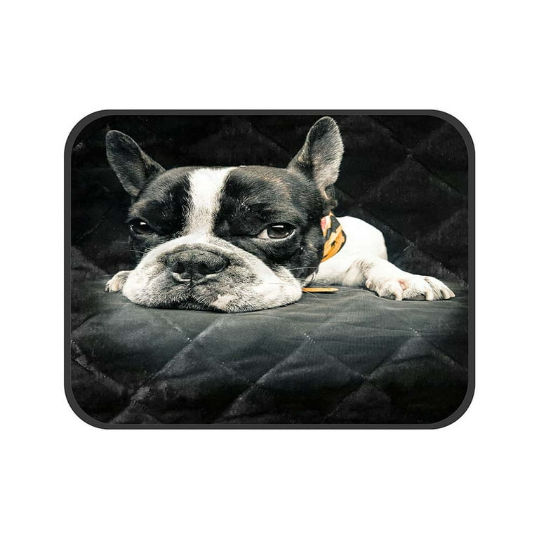 ABPHQTO Close Plane Of A French Bulldog Pet Dog Cat Bed Pee Pads Mat Cushion Potty Dogs Blankets Crate Bed Kennel 36x48 inch Walmart