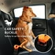 thumbnail image 5 of Correa elástica para perro con asa acolchada suave, correa ajustable para perro con hebilla de cinturón de seguridad, correa ajustable para perro para perros grandes, medianos y pequeños (naranja) JFHHH pequeña, 5 of 5