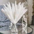 thumbnail image 3 of 15 secas de hierba pampa de 20 pulgadas de largo, color blanco para bodas, fiestas, bohemios, decoración del hogar, arreglos florales Zulema Hierba de pampa seca, 3 of 8