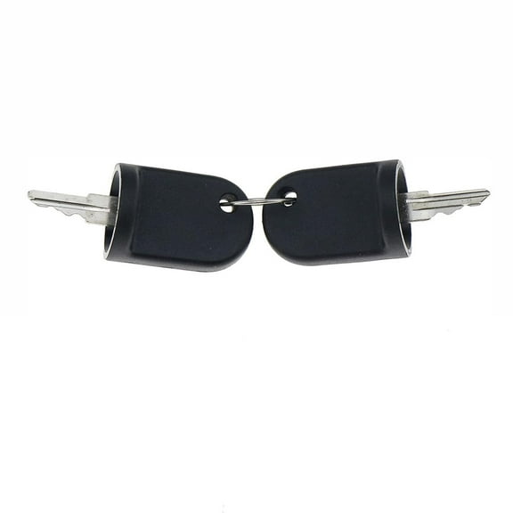 2Pcs Ignition Keys 611282 Fit For EZGO Golf Cart RXV Gas /Electric Model 2008-Up