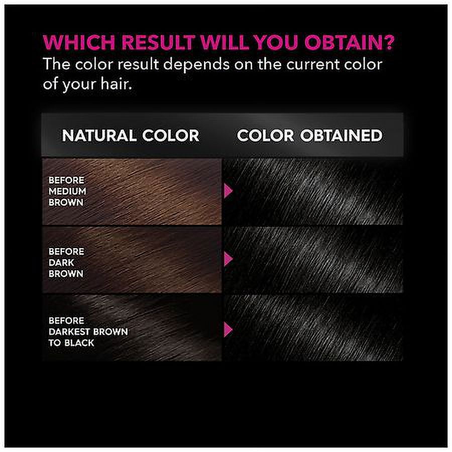 Garnier Olia Oil Powered Ammonia Free Permanent Hair Color, 1.0 Black 1.0 set Pack of 2