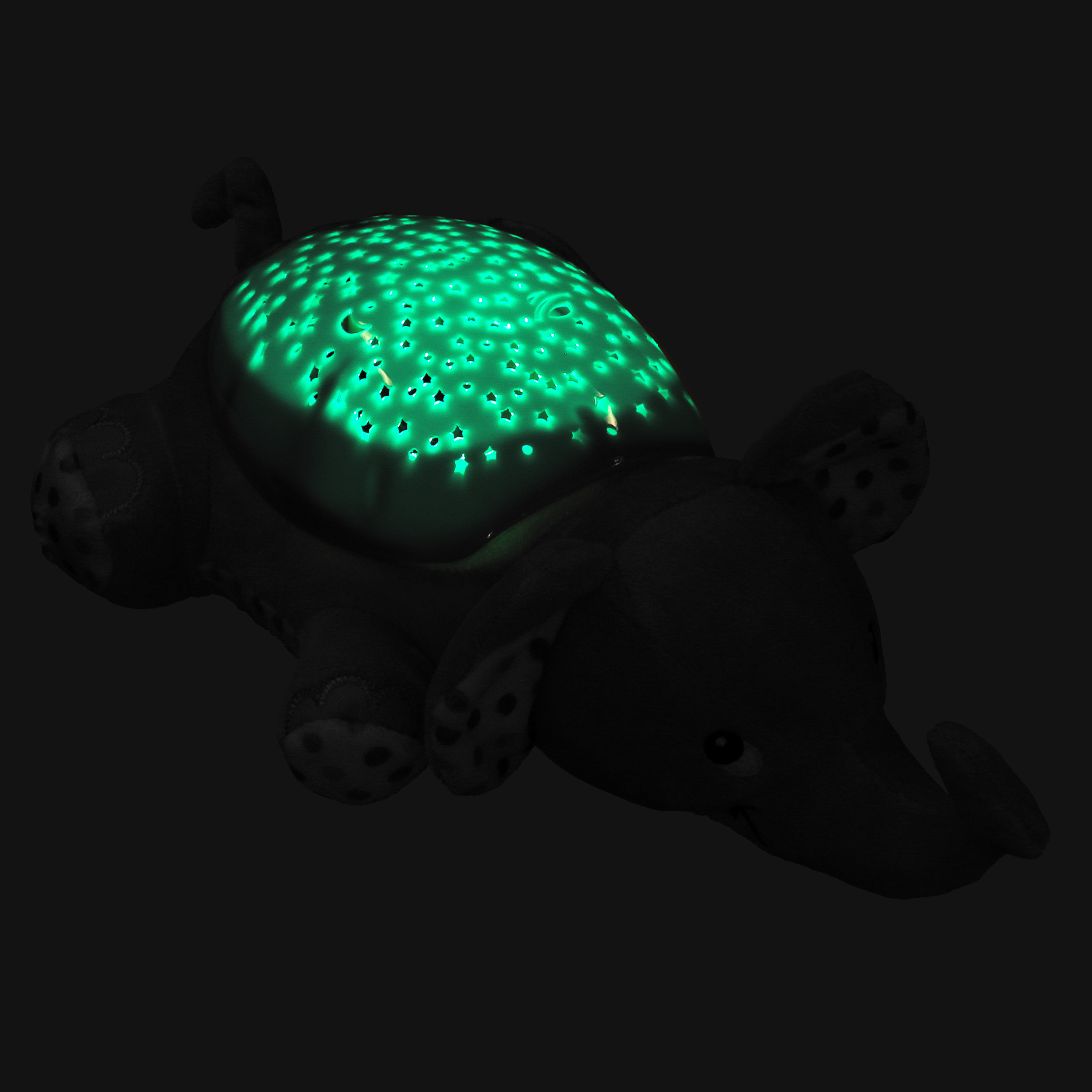 turtle baby light projector