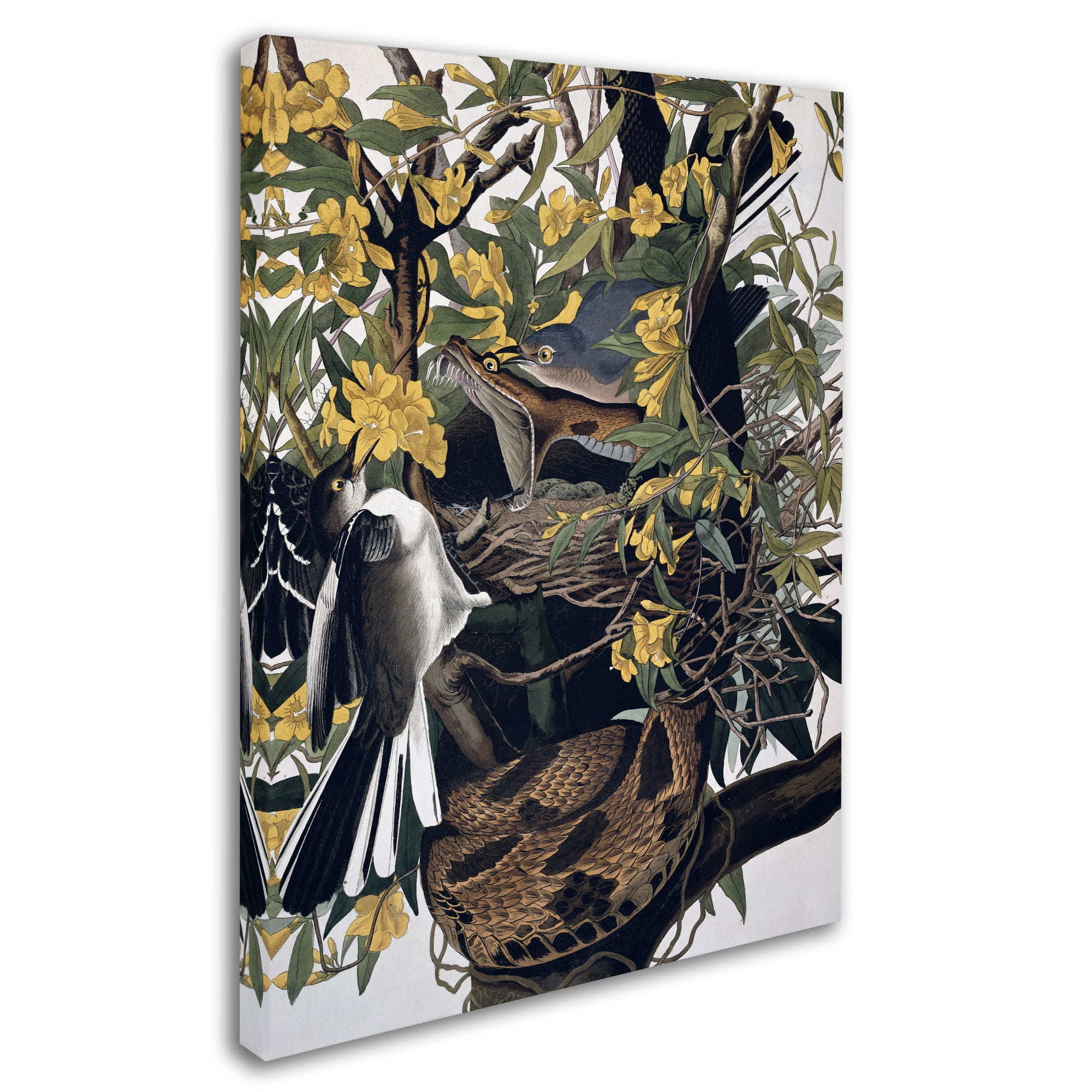 Trademark Fine Art "Mocking Birds and Snake" Canvas Art by John James Audubon