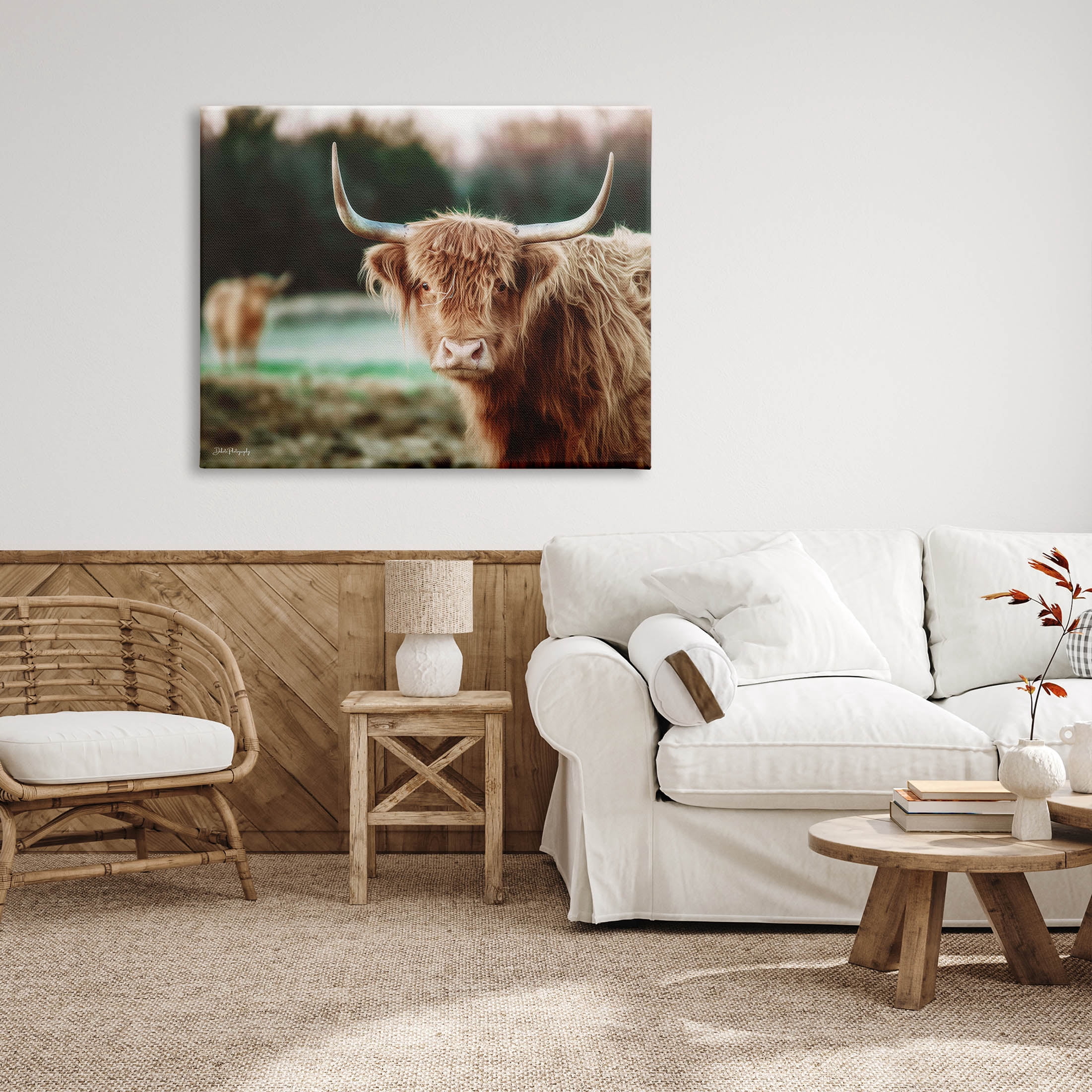 Stupell Industries Highland Cattle Gazing Photography Photograph Gallery Wrapped Canvas Print Wall Art, Design by Dakota Diener
