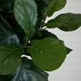 thumbnail image 3 of Nearly Natural 8ft. Artificial Fiddle Leaf Fig Tree, Green, 3 of 6