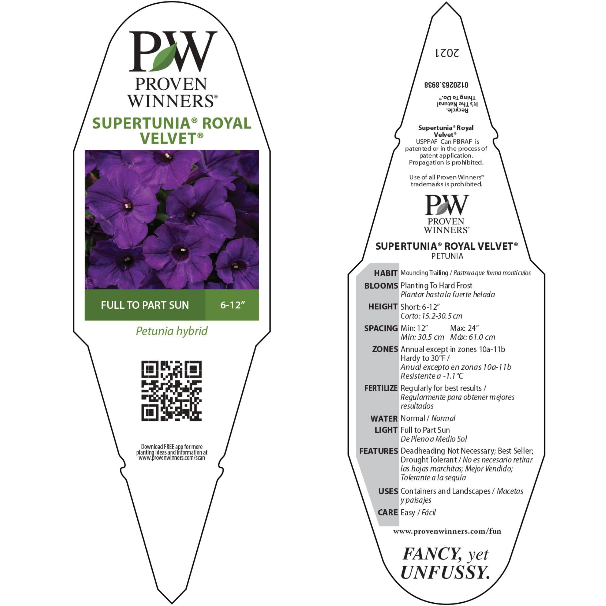 Proven Winners 4" Purple Supertunia Royal Velvet Petunia Live Plant in 4.25" Pot (4 Count)