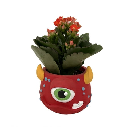Red Mini Monster Ceramic Planter with Kalanchoe Succulent Plant - 3" Pot