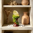 thumbnail image 5 of Natural Rocks Crystal Wooden Base Ornaments, Mori Stones Magical Wand Desktop Decor with Dried Flowers, Holiday Gifts, 5 of 6