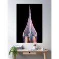 thumbnail image 2 of Concorde 1969 Poster Wall Art, Modern Wall Decor For Living Room Bedroom, 12x18 UNFRAMED, 2 of 3