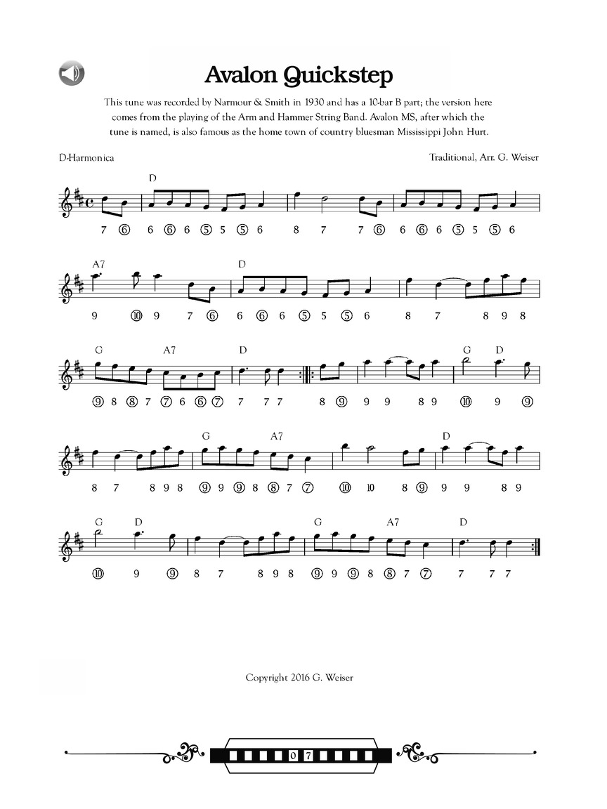 Bluegrass and Old-Time Fiddle Tunes for Harmonica, (Paperback)