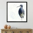 thumbnail image 3 of Designart 'Tricolored Heron Bird On White' Farmhouse Framed Art Print, 3 of 4