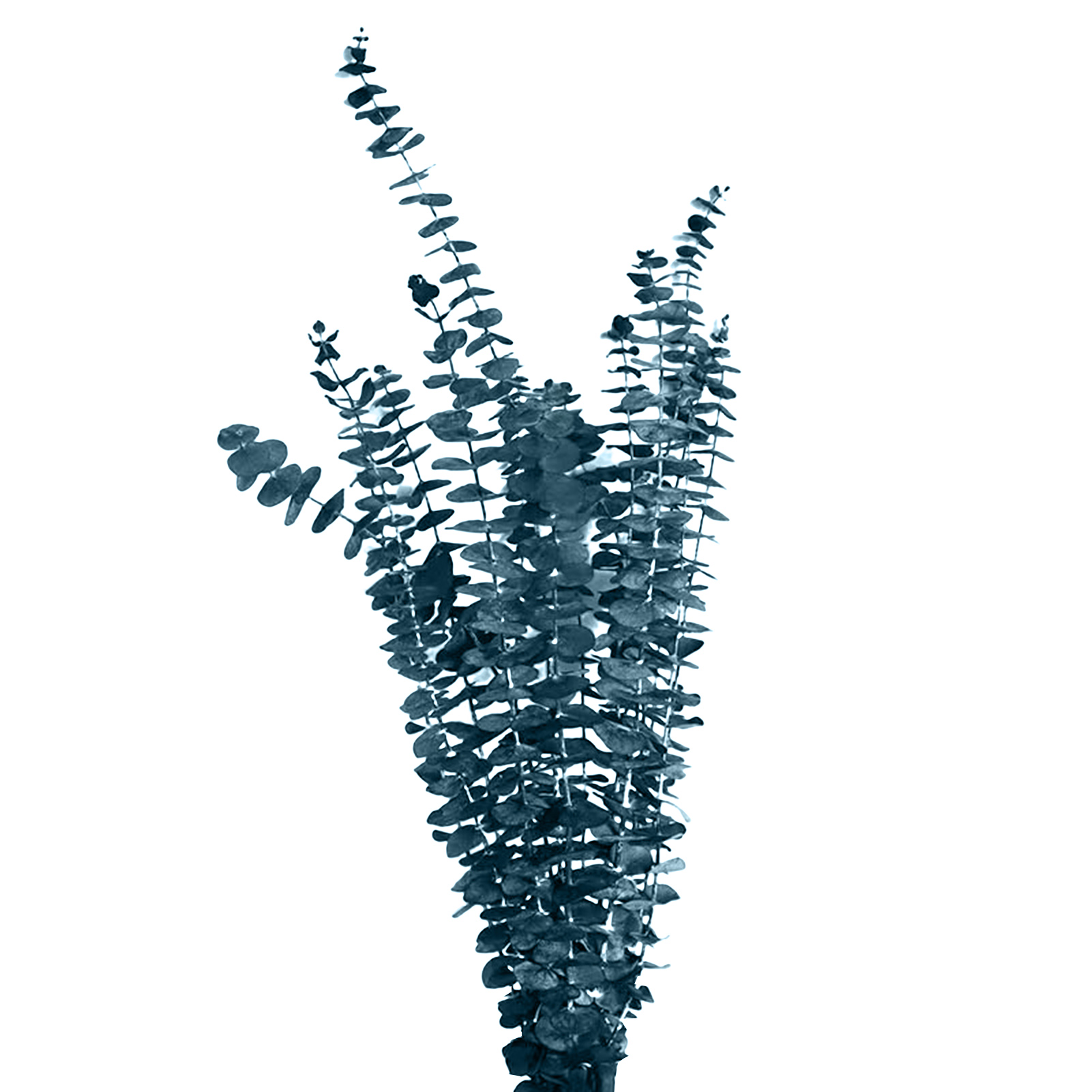 DISHAN Fake Eucalyptus Leaves 10/20Pcs, 17 Inch, Anxiety Relief