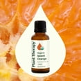 thumbnail image 3 of Plant Therapy Organic Sweet Orange Essential Oil 100% Pure, USDA Certified Organic, Undiluted 30 mL (1 oz), 3 of 8