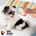thumbnail image 3 of The Dodo Itch Relieving Shampoo & Spray Bundle for Dogs Scent Free, 3 of 7
