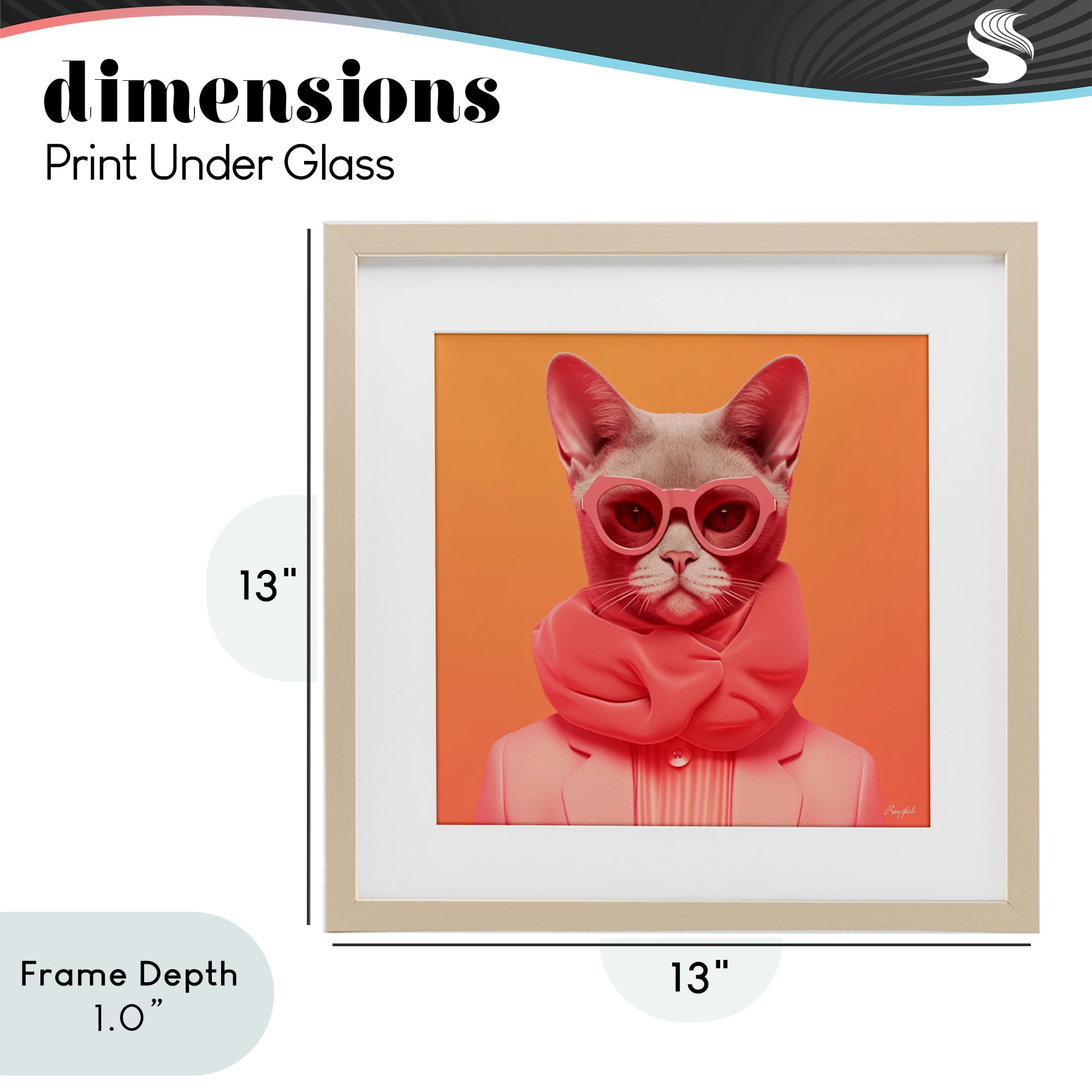 Stupell Industries Retro Glasses Cat on Orange Birch Framed Print Under Glass, design by Roozbeh